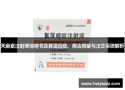天麻素注射液说明书及其适应症、用法用量与注意事项解析