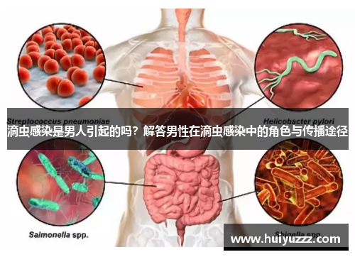滴虫感染是男人引起的吗？解答男性在滴虫感染中的角色与传播途径