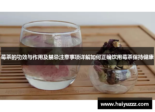 莓茶的功效与作用及禁忌注意事项详解如何正确饮用莓茶保持健康